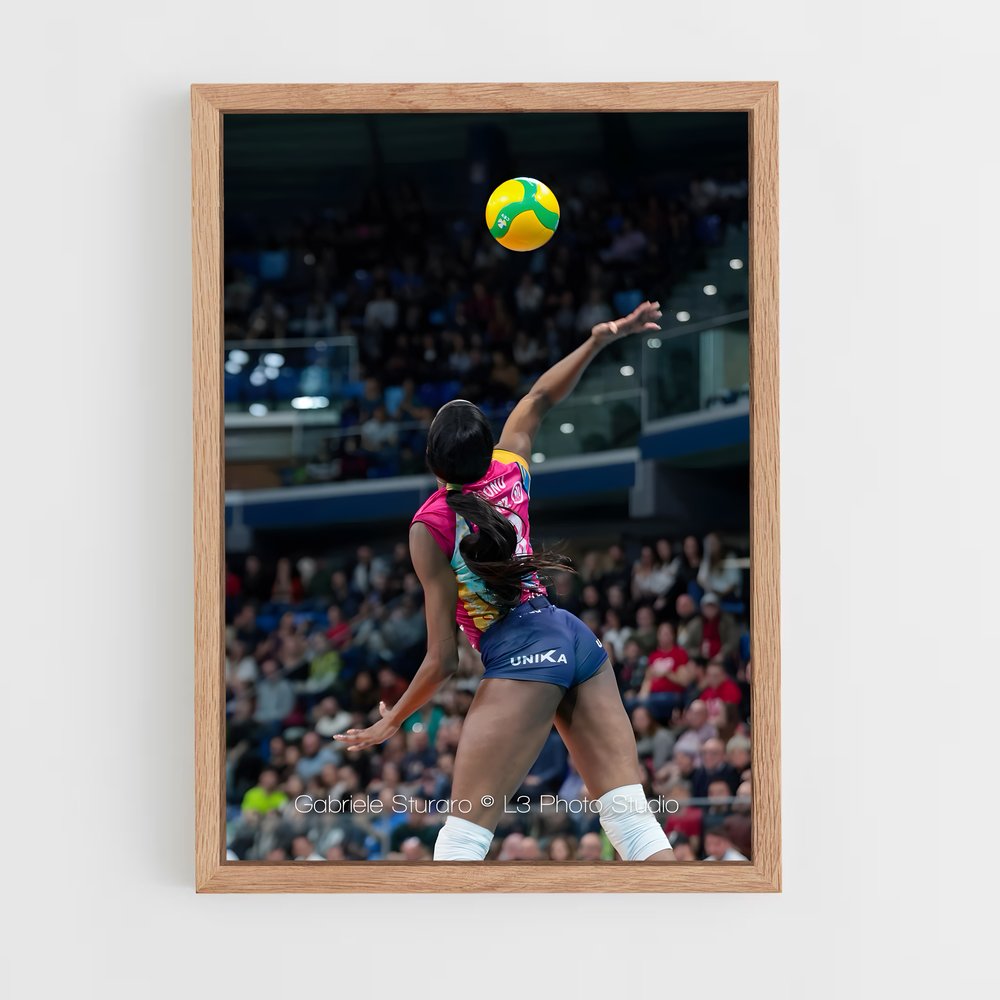 Poster L'Envol d'Egonu – affiche Volleyball (vue 4)